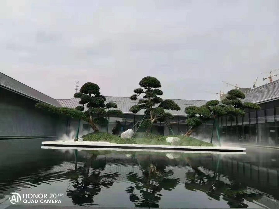 万能撑 案例